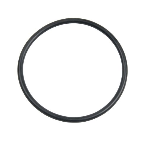 Image for Carlson Pump Rubber O-ring
