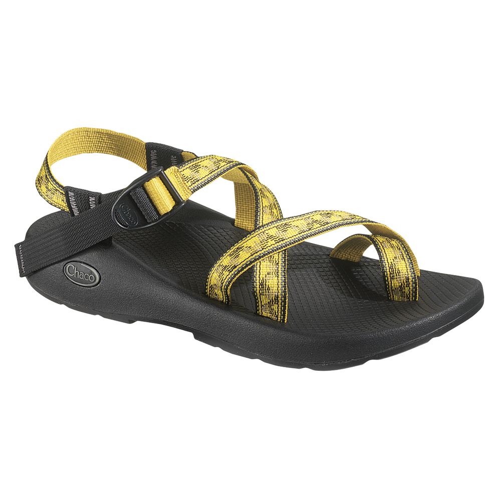 Image for Chaco Men&#39;s Z/2 PRO Sandals