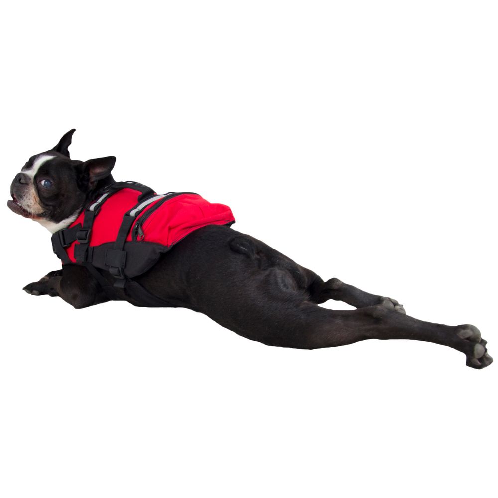 canine life vest