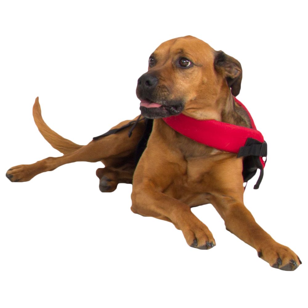 nrs dog life vest