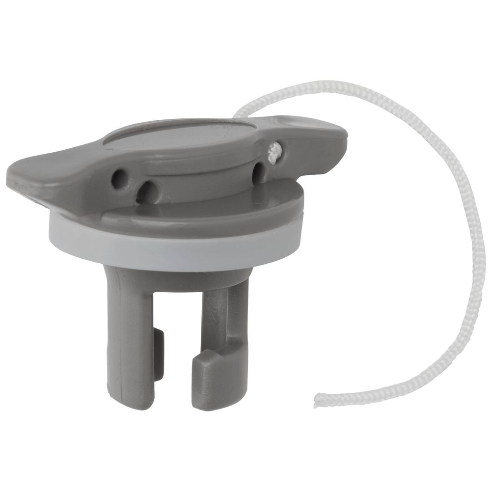Image for H3 Valve and Cap